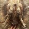 David Asencio 2