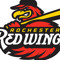 RocRedWings