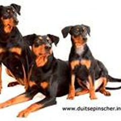 Jeroen Veronique Pride