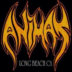 Long Beach Animas