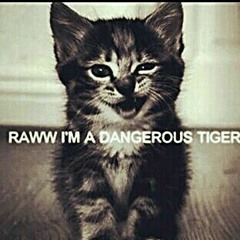 doctor music ♡♥♡♥