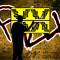 Phyx-Shut-Down
