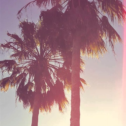 No Mammoth Beef (Steve Aoki and Afrojack vs. Dimitri Vegas & Like mike)