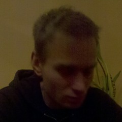 stefaan b