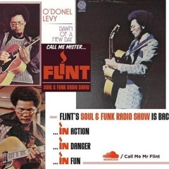 Mr Flint