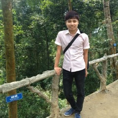 Xiah Sheep