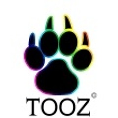 Tooz1991