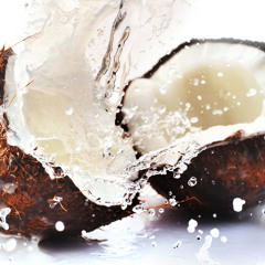 Mr.Coconutman123
