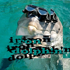 Iron Dolphin