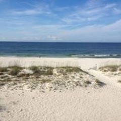 Mary Anne Montgomery