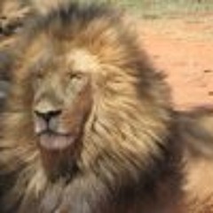 Gagnaire Pierre-Marie