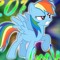 hydro-dashie