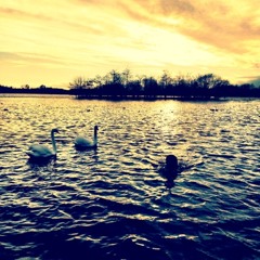 The Schumann Resonance