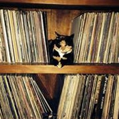 Wayne Stephen Griffiths