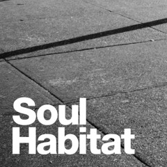 Soul Habitat