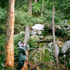 Nicolas Rosebraugh 1