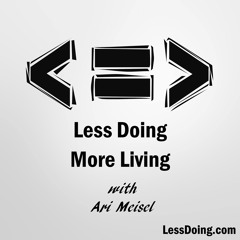 Ari Meisel - Less Doing