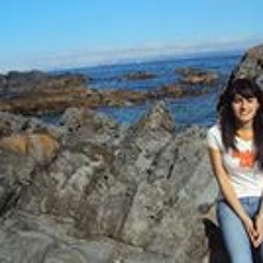 valee.ff