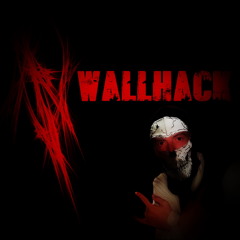 Wall-Hack