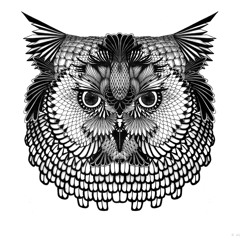 Domitille Le Huédé