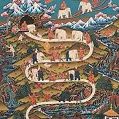 Tashi Dorji 27