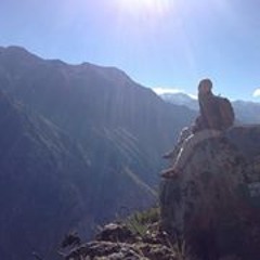 Brayden Wayne Campbell