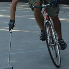 Stui Polo