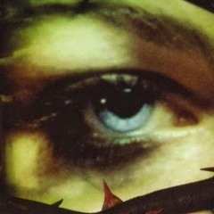 Evanescence promo