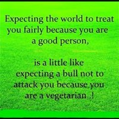 Alexsandria Fleischmann