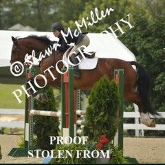 gfbequestrian