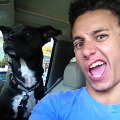 Case McKenna DeStefano