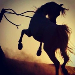 doaa el-jannah