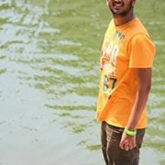 user294201543