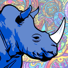 Jack and the Rhino Orchestra
