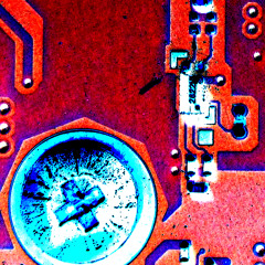 Free Variety 6b: Networkd