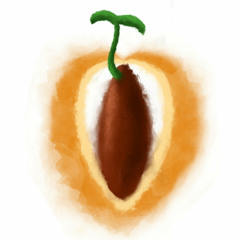 Our Sacred Seeds