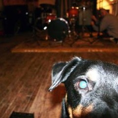 Stray Dog Recording Company
