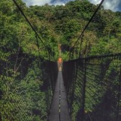 Miguel Sanchez Polini