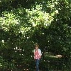 Cathy Tolan Curlette