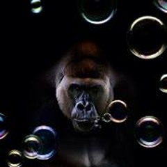 Wayne J Galery-Buggafoot