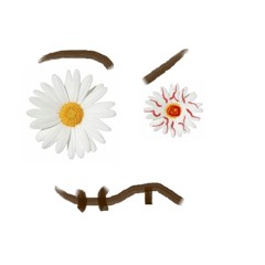 HippyTantrum