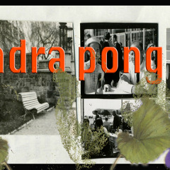 QUADRA PONG 2.0