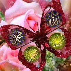 seirt123