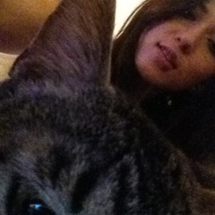 Kind Of Perfect- Armor for Sleep