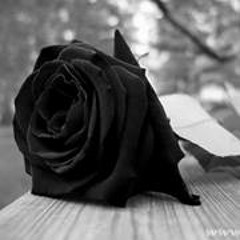 Verenice Tzontecomani