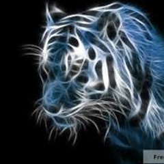 Sean Wolfy Wolfendale