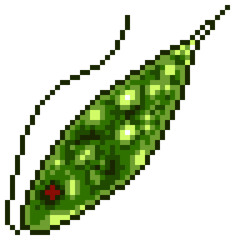 Cosmoterminal