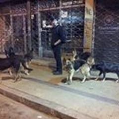 Leonardo Quezada Carrasco