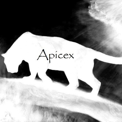 James Young - One Last Time (Apicex Cover)