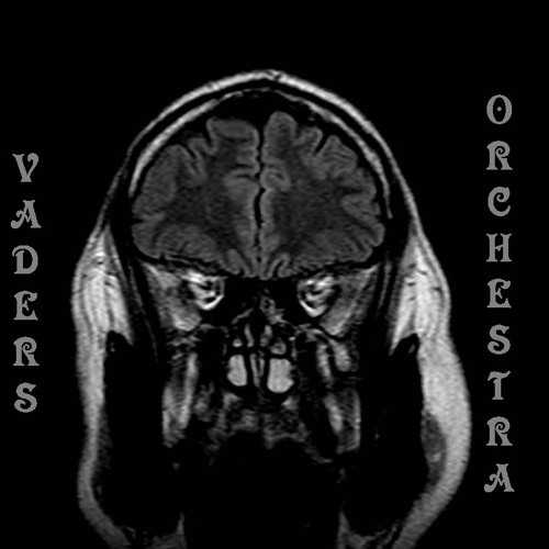 Vaders Orchestra’s avatar